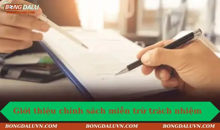 Thông tin giới thiệu chính sách miễn trừ trách nhiệm Bongdalu