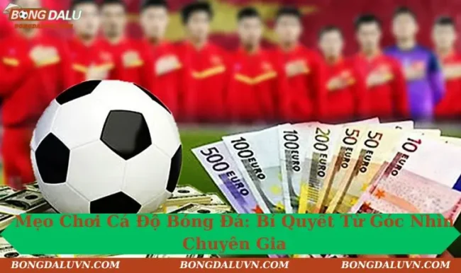 Mẹo Chơi Cá Độ Bóng Đá: Chiến Lược Tốt Mang Lại Lợi Nhuận